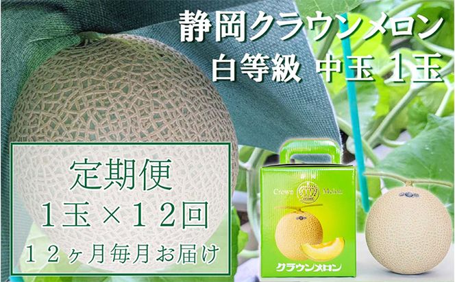 クラウンメロン【並（白等級）】中玉（1.3kg前後）1玉入り 定期便12ヶ月 人気 厳選 ギフト 贈り物 デザート グルメ 果物 袋井市 果物類 メロン青肉 フルーツ 12回 1年