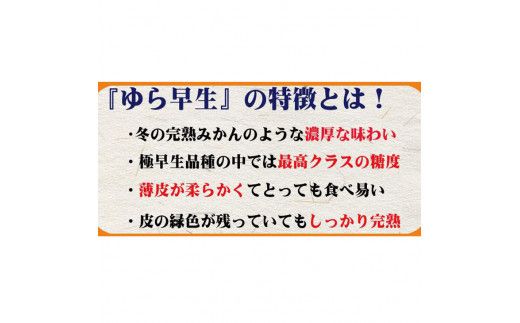 濃厚な味わい ご家庭用 ゆら早生みかん約7kg　サイズ混合【10月上旬より発送】希少品種《有機質肥料100％》※2026年10月上旬～11月より順次発送予定【nuk002F】