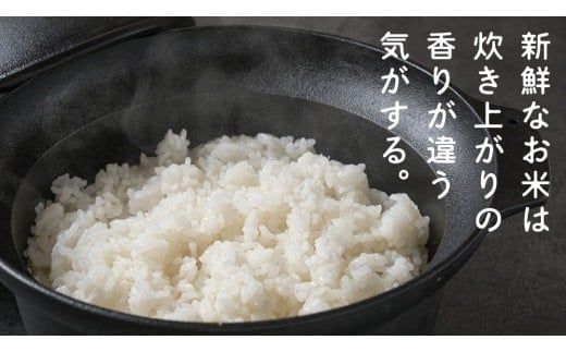 【 選べる 内容量 / お届け回数 】食べくらべ　精米 4種　真空  令和7年産 米 お米 コメ 茨城県 新生活 応援 コシヒカリ ミルキープリンセス にじのきらめき つきあかり 食べ比べ 定期便 [EX003ci00]