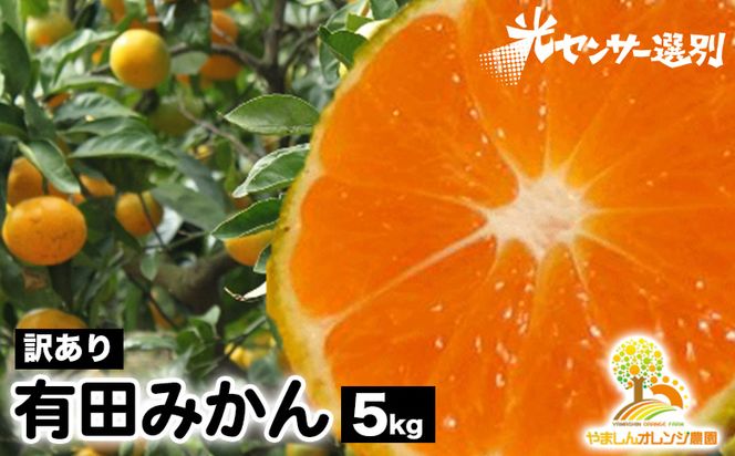 【先行受付】【訳あり】有田みかん 5kg ｜ 農家直送 訳あり ご家庭用 サイズ混合 光センサー選別 温州みかん みかん 訳あり わけあり 家庭用