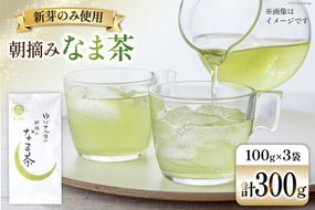 お茶 八女茶 ゆげさん家の朝摘みなま茶 300g(100g×3袋）[Esprit 福岡県 筑紫野市 21761023] 茶葉 新芽 煎茶 摘みたて 茶殻