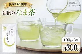 お茶 八女茶 ゆげさん家の朝摘みなま茶 300g(100g×3袋）[Esprit 福岡県 筑紫野市 21760770] 茶葉 新芽 煎茶 摘みたて 茶殻