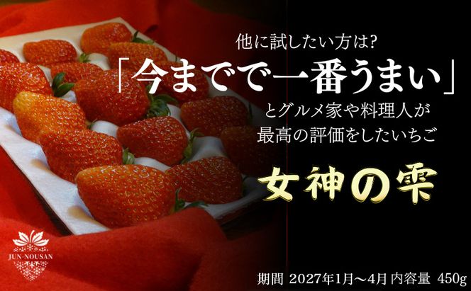 ＜先行予約＞「今までで1番うまい」とグルメ家がうなったイチゴ【女神の雫】 450g 2027年 1月 2月 3月 4月 450g 岐阜県 美濃市 じゅん農産 1 苺 イチゴ いちご フルーツ 甘い 旬 お取り寄せ
