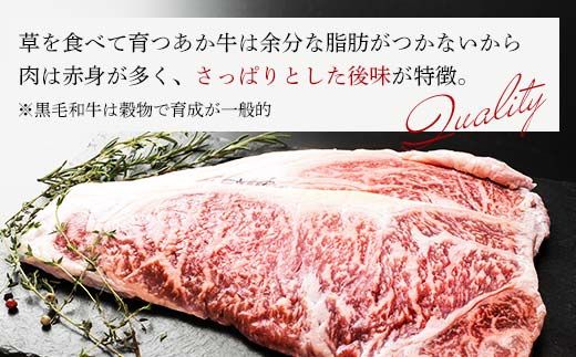 FKK19-226_あか牛サーロインステーキ 熊本県 嘉島町