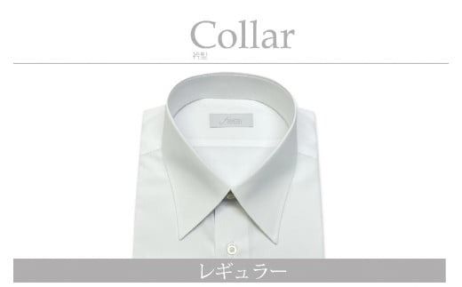 yVszPAȒPISĒȃ|aYphXVcu6LTCYv܌^M[ 1080020