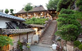 老舗割烹料理店"大幸園"｢活すっぽんスペシャルコース ペアご招待券｣ 1枚 食事券 厳選食材 佐賀県 上峰町 H-284