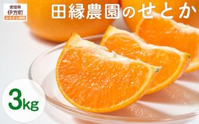 【先行予約】【数量限定】田縁農園のせとか3kg ※離島への配送不可 （2026年3月5日より順次発送） IKTA015