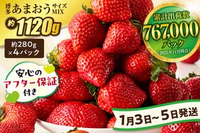 【数量限定】<アフター保証>1月3日～5日発送「博多あまおう」約280g×4パック 計1.12kg【ほたるの里】_HA0662