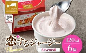 【ジェラート醍醐桜】【熨斗】恋するジャージーPremiumさちのか苺6個セット / 岡山 真庭 醍醐桜 極上スイーツ 濃厚 プレゼント 贈答 デザート ギフト ジャージー牛 ミルク ジェラート おやつ イチゴ 子供から大人まで 冷凍 人気 贅沢 【nhss007n-01】