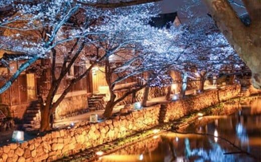 【返礼品なし】滋賀県近江八幡市への応援寄附金　1,000円【OM001W】（滋賀県　近江八幡市）