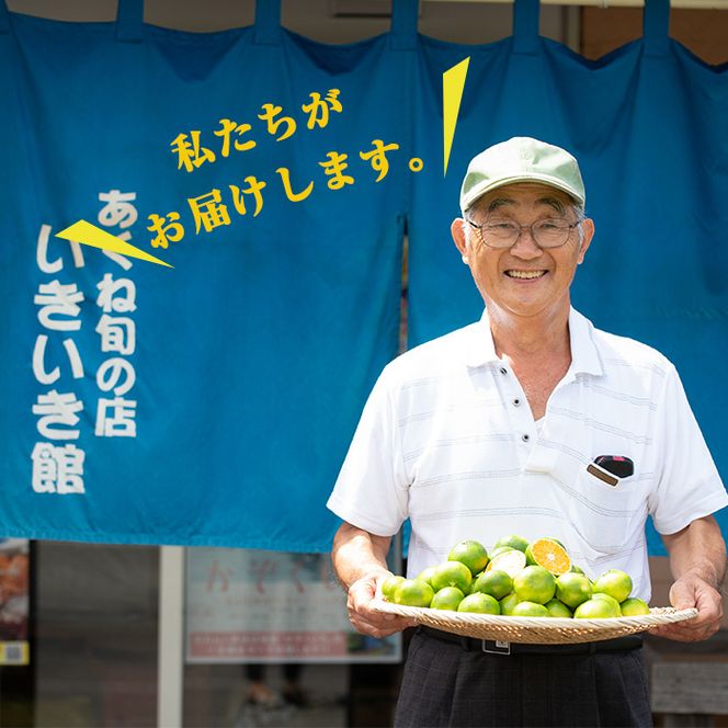 真空パックたけのこ(約1.5kg・500g×3P) 国産 野菜 たけのこ タケノコ 淡竹 ハチク はちく 唐竹 カラタケ からたけ 筍 旬 煮物 天ぷら つくだ煮【あくね旬の店いきいき館】akn015-22