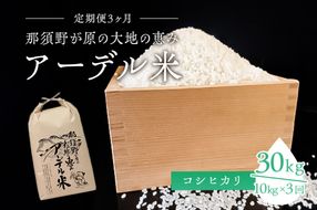 ns061-002 【令和6年産米】『定期便3ヶ月』那須野が原の大地の恵み アーデル米（コシヒカリ1袋10kg）＜出荷開始：2024年10月下旬～＞