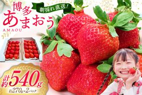 先行受付 【 博多あまおう 】 いちご 約270g×2p / エイチアンドフューチャーズ / 福岡県 筑紫野市 [21760471] 果物 フルーツ いちご イチゴ 苺 朝採り 新鮮