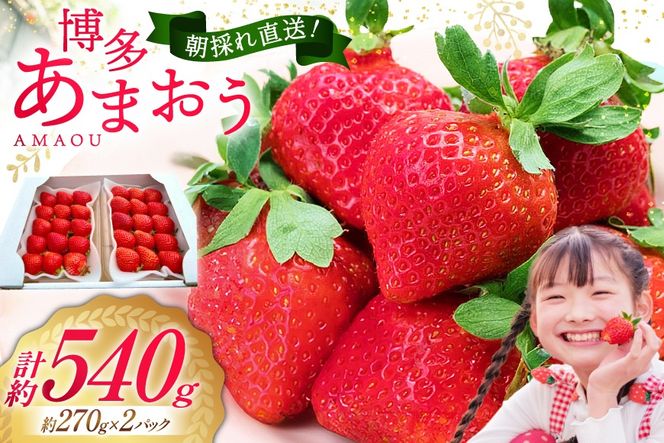 �y�������}����s�z��s��t �y �������܂��� �z ������ ��270g×2p / �G�C�`�A���h�t���[�`���[�Y / ������ �}����s [21760471] �ʕ� �t���[�c ������ �C�`�S � ���̂� �V�N