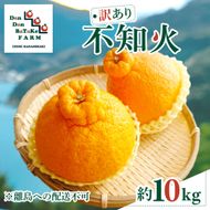 【先行予約】【訳あり】不知火 約10kg | 柑橘 みかん 果物 フルーツ 愛媛県産 農家直送　※離島への配送不可　※2027年2月下旬より順次発送予定 IKTAU009