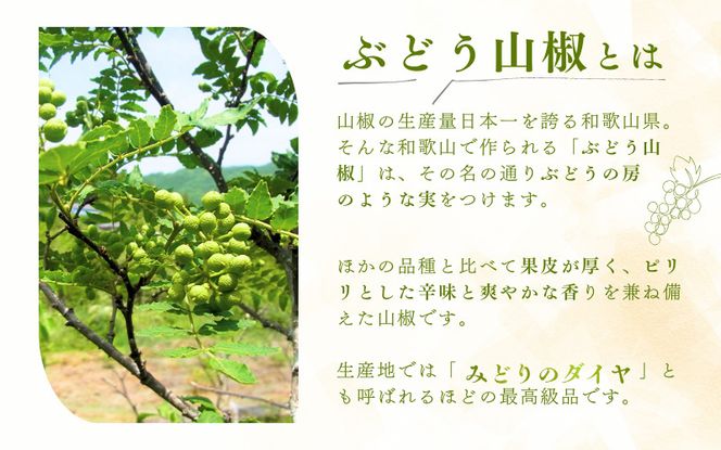 冷凍 ぶどう 生実山椒 250g / 山椒 さんしょう 香辛料 調味料 薬味 冷凍 ぶどう山椒 生山椒 和歌山県 紀美野町 生実山椒【twn020】 