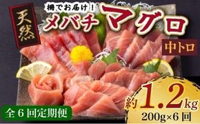 【 6回定期便 】 天然メバチマグロ 【 中トロ 】200ｇ（柵） メバチマグロ めばちまぐろ めばち メバチ まぐろ マグロ 鮪 サク 柵 中トロ 天然 天然まぐろ 天然マグロ 刺身 お刺身 食べ比べ 海鮮丼 丼 魚 さかな 新鮮 高知 室戸 冷凍 小分け 海鮮