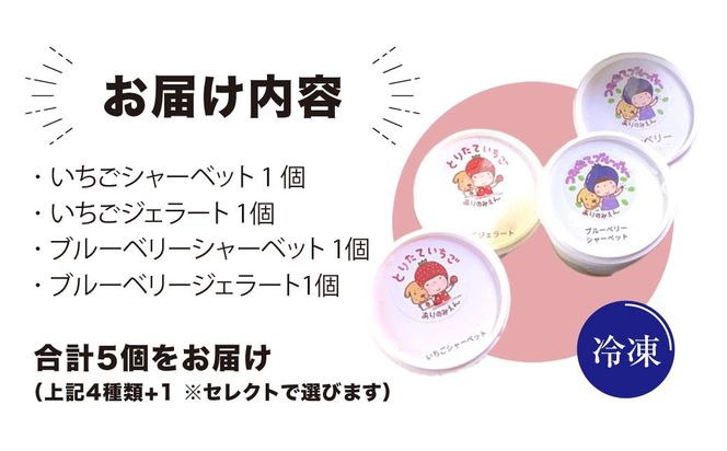 農園で育てたフルーツを100％使用! 有野実ファームのアイス詰め合わせセット SMN008