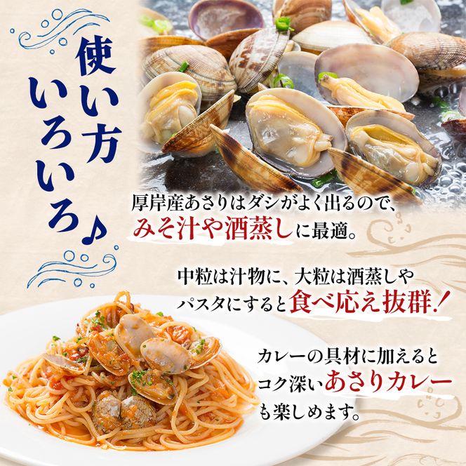 翌日配送 航空便 北海道 厚岸産 あさり 500g×2パック (合計1kg) 大中混合 アサリ 魚貝 海 美味しい 栄養 旨み 砂出し 水洗い 冷蔵 冷凍保存可能 便利
