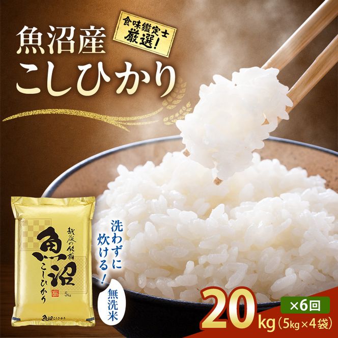 【令和8年産 先行予約】無洗米「6カ月定期便」食味鑑定士厳選！２０ｋｇ（５ｋｇ×４）×６回 白米 安心 安全 こだわり 米 コシヒカリ 定期 新潟県 十日町市