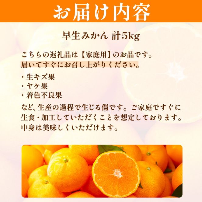 【先行予約】浅野農園の早生みかん 家庭用計5kg ※着日指定不可 ※離島への配送不可（2026年11月上旬～11月中旬頃に順次発送予定）IKTAC002