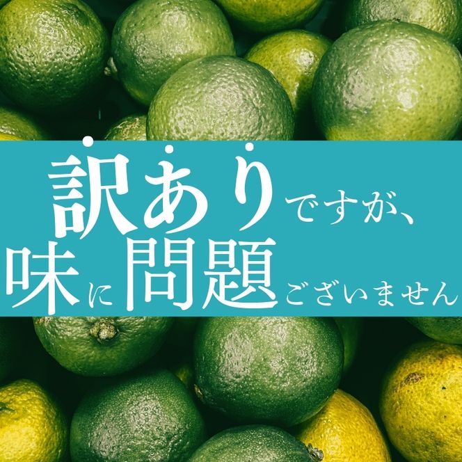 わけあり レモン1kg+250g（傷み補償分）【和歌山有田産】【防腐剤・WAX不使用、安心の国産レモン】【わけあり・訳ありレモン】※北海道・沖縄・離島への配送不可 / レモン 果物 くだもの フルーツ【ikd135B】