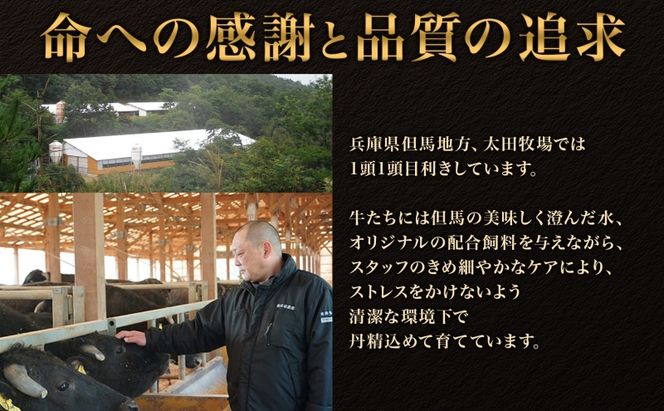神戸ビーフ KS-「竹」 定期便「竹」コース 神戸牛 焼肉 太田家 冷凍 肉 牛肉 食べ比べ 