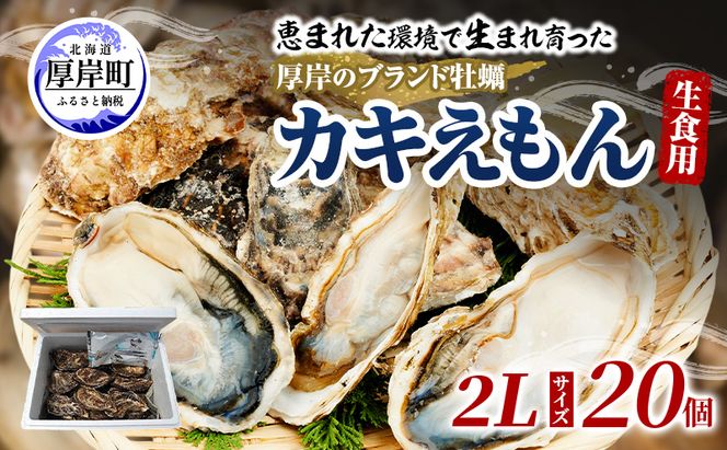 牡蠣 厚岸のブランド牡蠣 生食用 カキえもん 2Lサイズ 20個  [ 魚貝類 海鮮 海のミルク 国産 生食用殻付き牡蠣 まろやか クリーミー 食べやすい品種 海の香り 牡蠣の酒蒸し 焼き牡蠣  ]