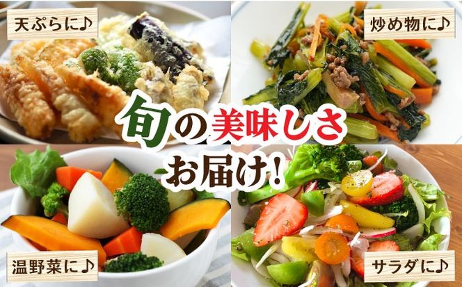【6回定期便】【奇数月コース】豪華！野菜 セット 15品目以上 6回 定期便 フルーツ キノコ 詰め合わせ / 南島原市 / 吉岡青果 [SCZ002]