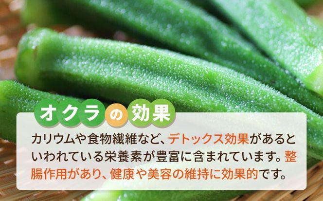 オクラ 1kg 冷凍 旬の時期に急速冷凍 【福岡県糸島産】 糸島市 / オーガニックナガミツファーム 野菜 おくら[AGE054]