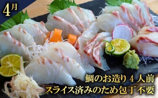 定期便 かつお タイ ブリ 愛南ゴールド真鯛 シマアジ カンパチ 6回 刺身 鮮魚 冷凍 真空 パック 旬 高級魚 鰤 鰹 鯛 縞鯵 勘八 魚 魚介 魚介類 海鮮 海鮮食品 おかず おつまみ 新鮮 天然 養殖 ハマスイ 愛南町 愛媛県