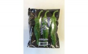 夏限定♪JA　ジャンボししとう　100g×10袋|茨城県 行方市 ふるさと納税 野菜 獅子唐 シシトウ 国産（AE-21）