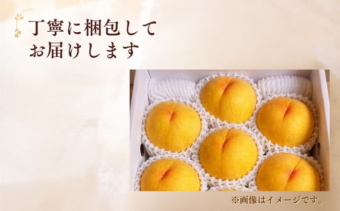 【先行受付】黄桃2kg | 岡山県産 黄金桃 桃 フルーツ 果物 高級フルーツ 岡山 桃 お取り寄せ 産地直送 希少品種 国産フルーツ 黄金桃 人気 数量限定 旬の果物 甘い ジューシー 芳醇 みずみずしい 夏の味覚 先行予約