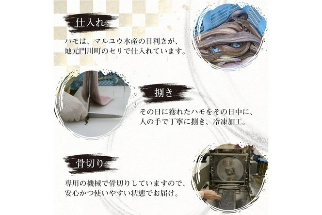 鱧のタタキ タレ入り(計480g・80g×6P)はも ハモ たたき 骨切り 海鮮 おつまみ たれ 国産 小分け 冷凍 魚介 宮崎県産【MR-5】【マルユウ水産】