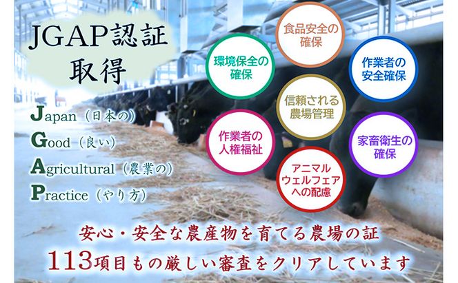 【飛騨牛】海津市産ロース焼肉オリジナルカット 【配達不可：離島】 お肉 牛肉 焼肉用 バーベキュー ロース肉 ブランド牛 国産 岐阜県産 柔らかい肉質 サシ 霜降り とろける 