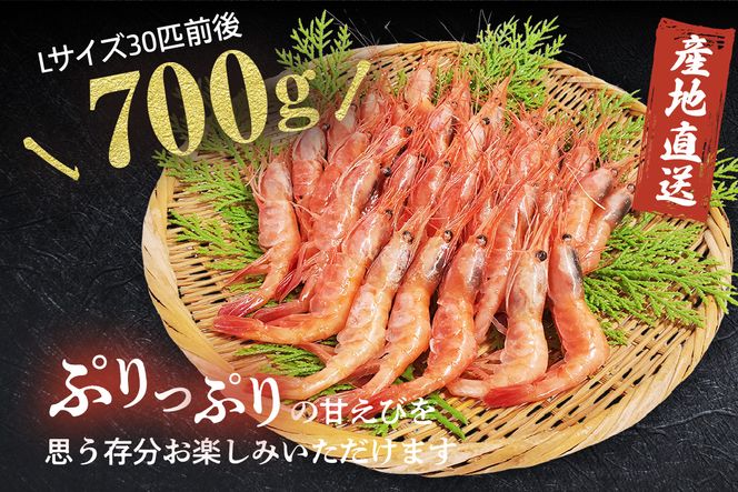 【お刺身用甘エビ Lサイズ 30匹前後 700g以上 船内冷凍】 産地直送 鮮度抜群 甘えび 甘エビ 船内 冷凍 刺身 おかず 味噌汁 新鮮 大人気 ふるさと納税 返礼品 おすすめ 兵庫県 香美町 香住 山米鮮魚 74-16