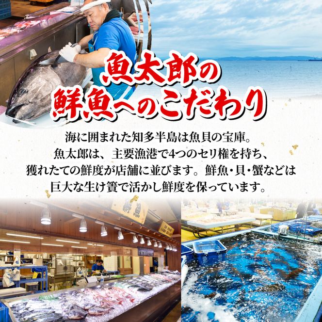 南知多名産！ 大あさり カット済み 大玉 片貝8個 (400g×2p) 800g 冷凍 プロトン凍結 魚貝 鮮魚 魚太郎 特産品 バーベキュー BBQ 浜焼き 酒蒸し 大あさり 大浅蜊 あさり アサリ 浅蜊 蛤仔 貝 かいし 大あさり 大浅蜊 あさり アサリ 浅蜊 蛤仔 貝 かいし 大あさり 大浅蜊 あさり アサリ 浅蜊 蛤仔 貝 かいし 大あさり 大浅蜊 あさり アサリ 浅蜊 蛤仔 貝 かい愛知県 南知多町