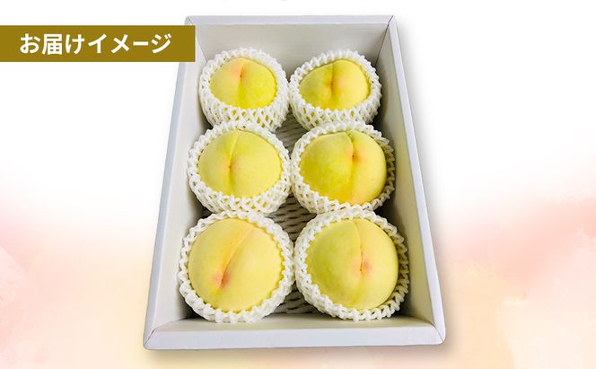 岡山県産 白桃 約2kg(6個～8個) 果物 フルーツ 桃 もも モモ 国産 岡山