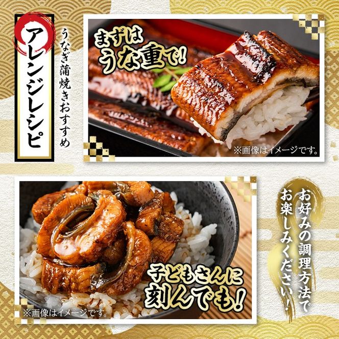 【0234303a-F】＜父の日ギフト＞東串良町のうなぎ蒲焼(無頭)(3尾・計約630g・タレ、山椒付) うなぎ 高級 ウナギ 鰻 国産 蒲焼 蒲焼き たれ 鹿児島 ふるさと 人気 父の日 ギフト 贈り物 プレゼント 【アクアおおすみ】