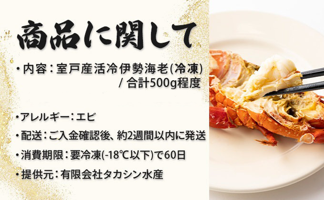 室戸産活冷伊勢海老【約５００g】　tk009