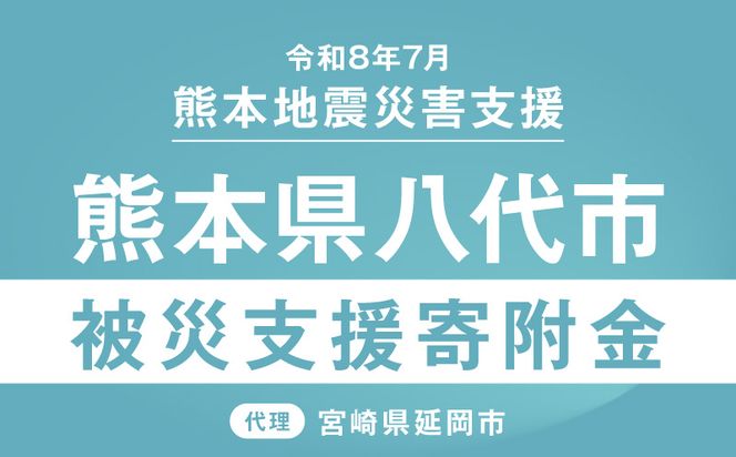 返礼品なし】 令和8年熊本地震 熊本県八代市災害支援 代理寄附　N0159-9996
