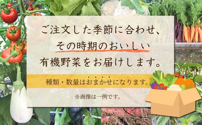 西田農園　季節の有機野菜詰合せ　6ヶ月定期便  da003t06