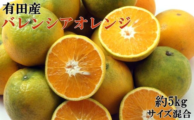 ［国産］有田産バレンシアオレンジ 約5kg（サイズ混合 秀・優品規格）★2026年7月中旬ごろより発送 BZ144
