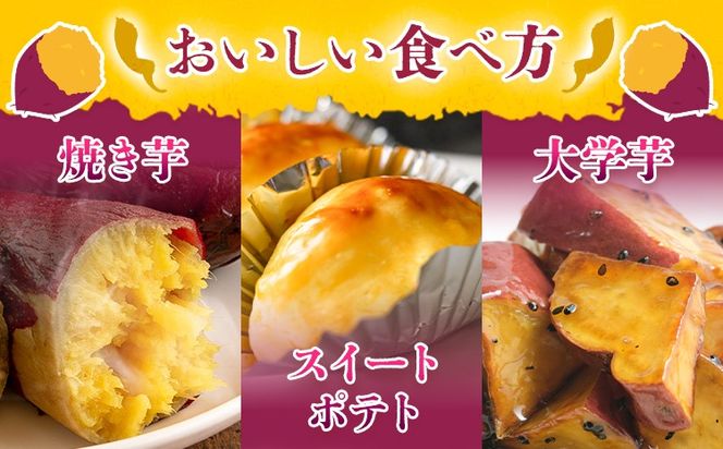 さつまいも 熊本県産 紅はるか 選べる 3.5kg 5kg 日本フルーツ株式会社《11月下旬-6月上旬頃出荷》熊本県 大津町 さつまいも 薩摩芋 からいも 紅はるか デザート 料理 おやつ 蜜芋 野菜 芋 いも ---oz_nfbh_cf116_25_7000_3kg---