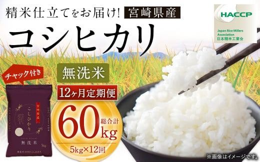 y{茧S璬zy12ցzߘa7NY {茧YRVqJ iāj 5kg `bNtđ 12ց2025N9{ȍ~ ڔi12͒{jyc1446_kuz Ђ RVqJ   R Y 