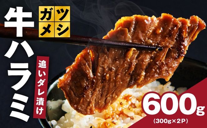 G4017 ガツめし牛ハラミ 600g 追いダレ漬け【300g×2 ハラミはらみ 牛はらみ 牛肉 訳アリ 不揃い 小分け】