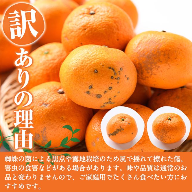 ＜先行予約受付中！2027年1月中旬以降順次発送予定＞訳あり紅甘夏(約20kg) 国産 鹿児島県 阿久根市 果実 果物 フルーツ 柑橘 紅甘夏 みかん ミカン 期間限定 数量限定【桐野柑橘株式会社】akn070-09