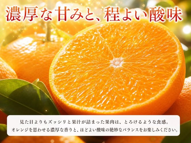紀州有田産せとか約3kg　とろける食感！ジューシー柑橘［2027年3月上旬以降発送］［先行予約］［UT03w］ AN007