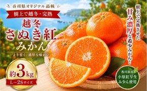 越冬さぬき紅みかん  約3kg みかん フルーツ 果物 香川県 土庄町
