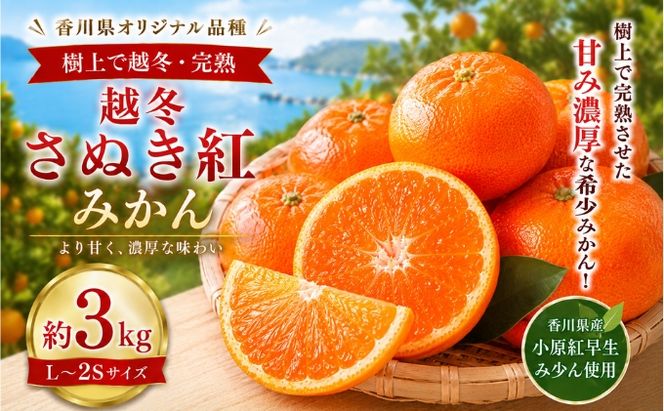 越冬さぬき紅みかん  約3kg みかん フルーツ 果物 香川県 土庄町